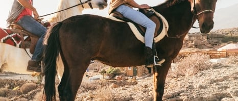People riding horses in the outback of Arizona
