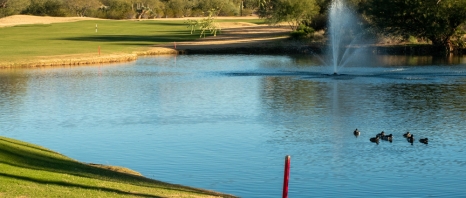 A green at Mountain Shadows in Phoenix