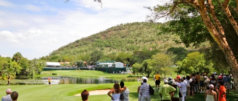 A bunch of people looking at a golf green and water
