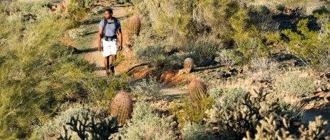 A man hiking in Arizona