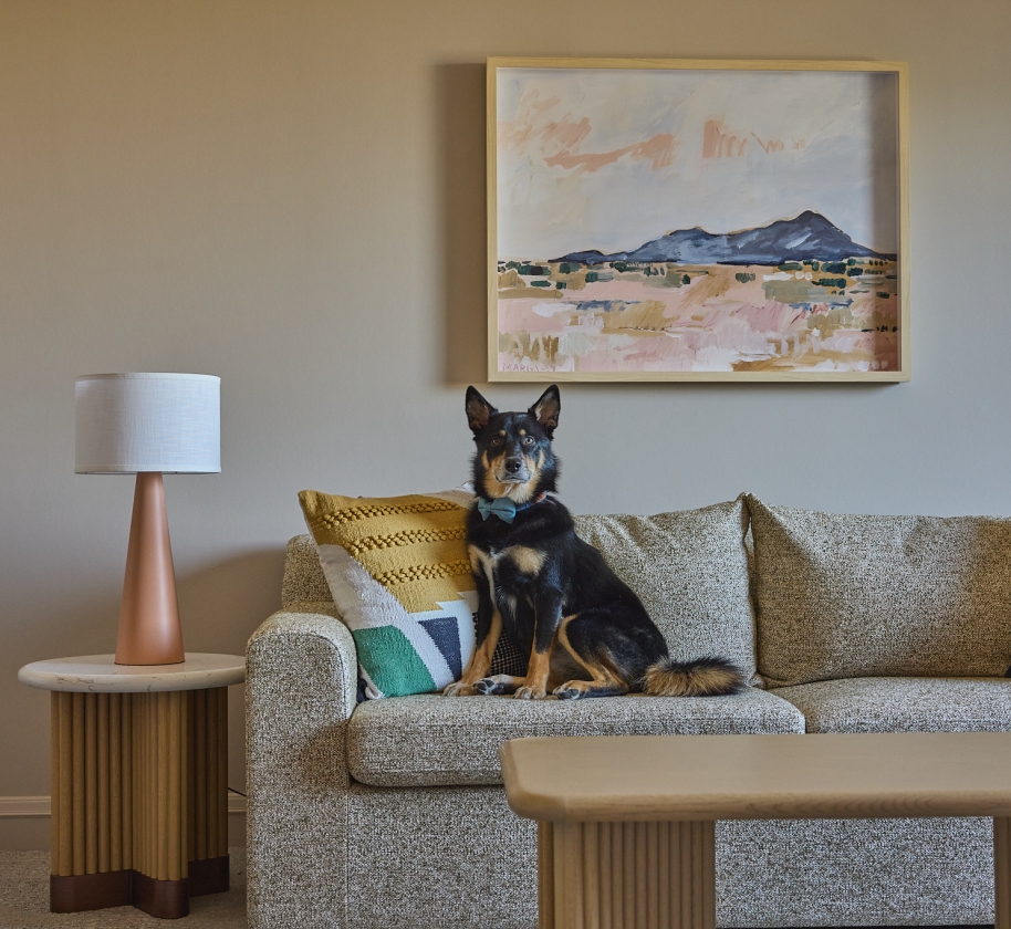 Dog sitting on couch, couch, pillows, table, lamp, painting, guestroom living room