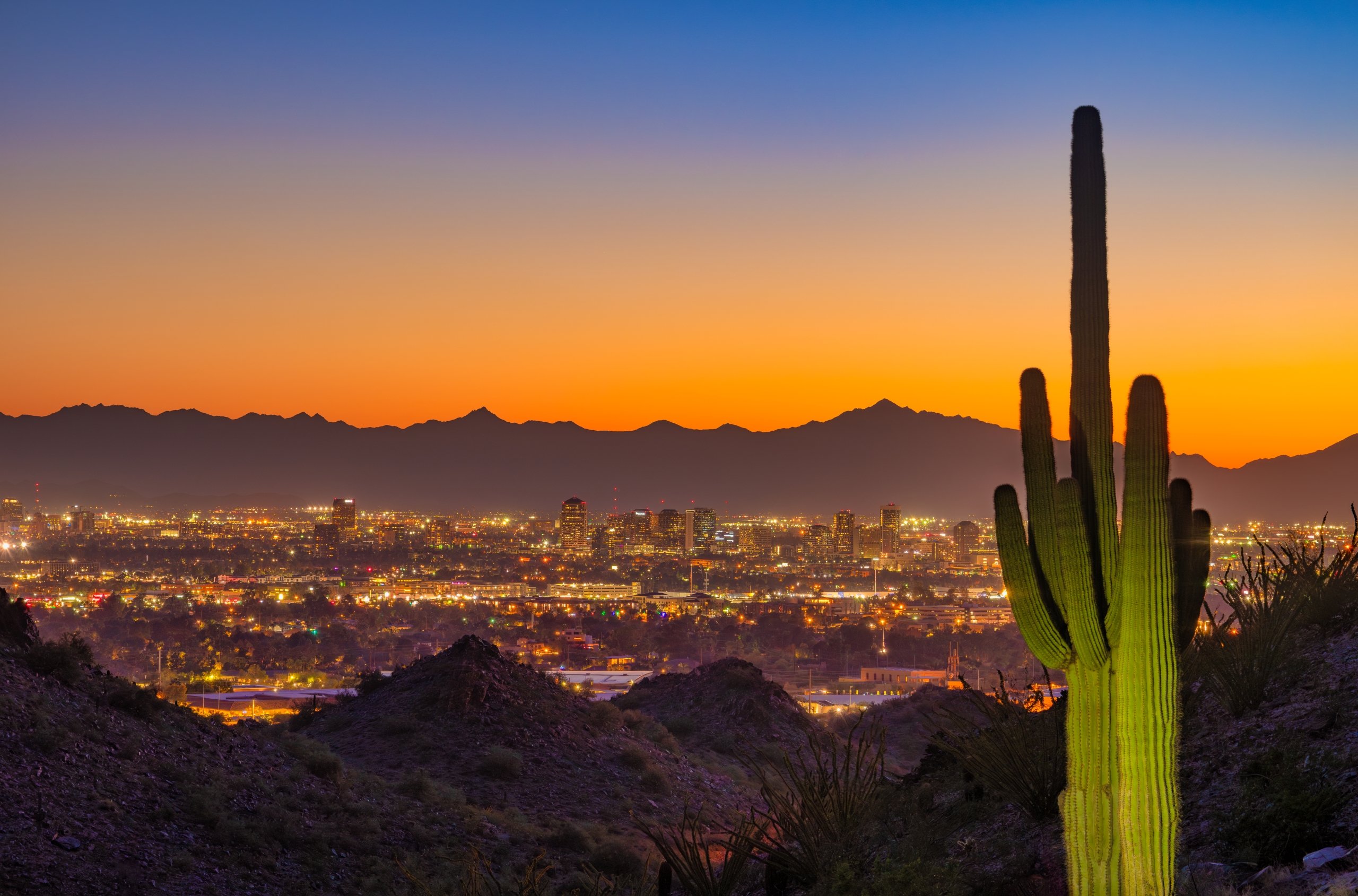 Skyline of Midtown Phoenix at sunset with an orange skyline and mountains in the background and a mountainside and a partially lit Saguaro Cactus in the foreground.