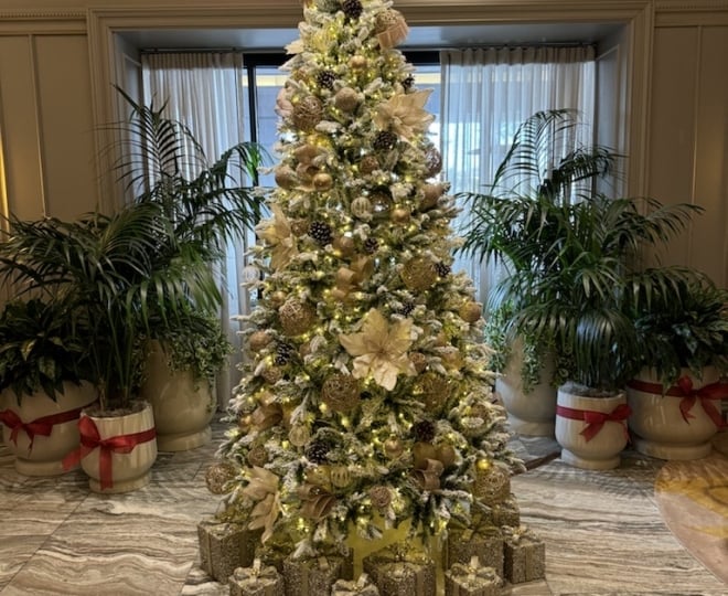 Christmas at The Camby. Christmas tree, lobby