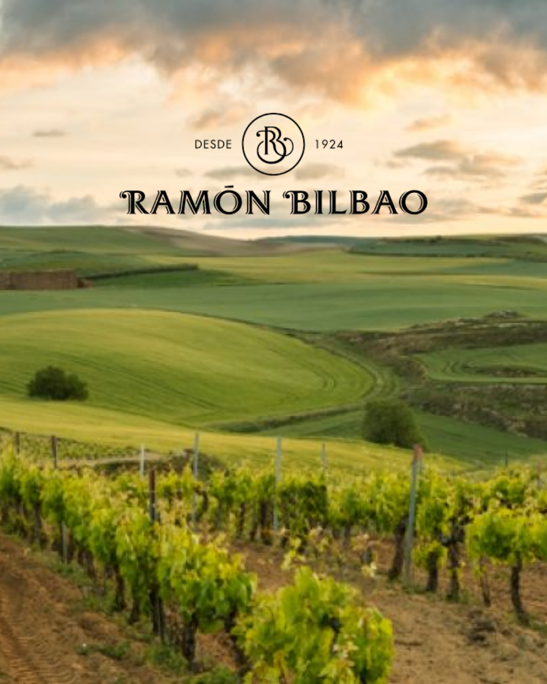 vineyard backdrop with logo of Ramon Bilbao