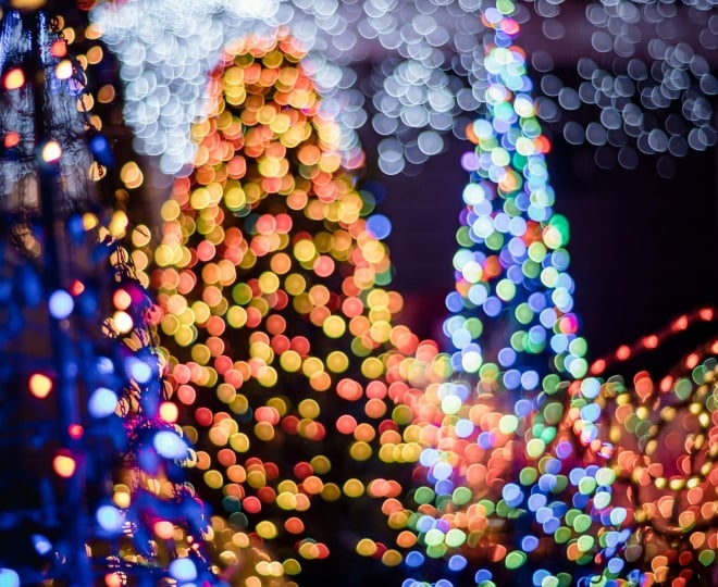 Christmas trees lit up at night.