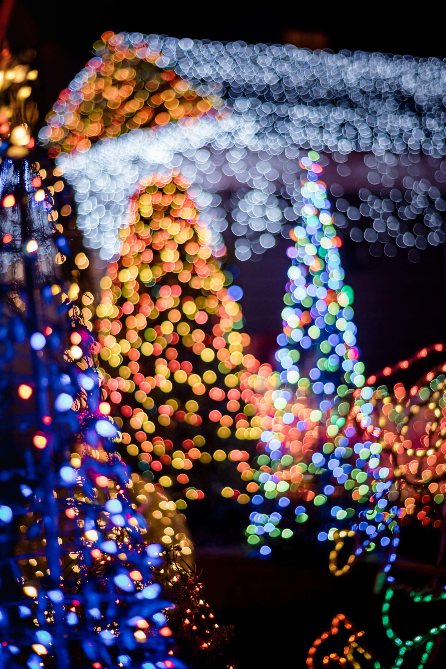 Christmas trees lit up at night.