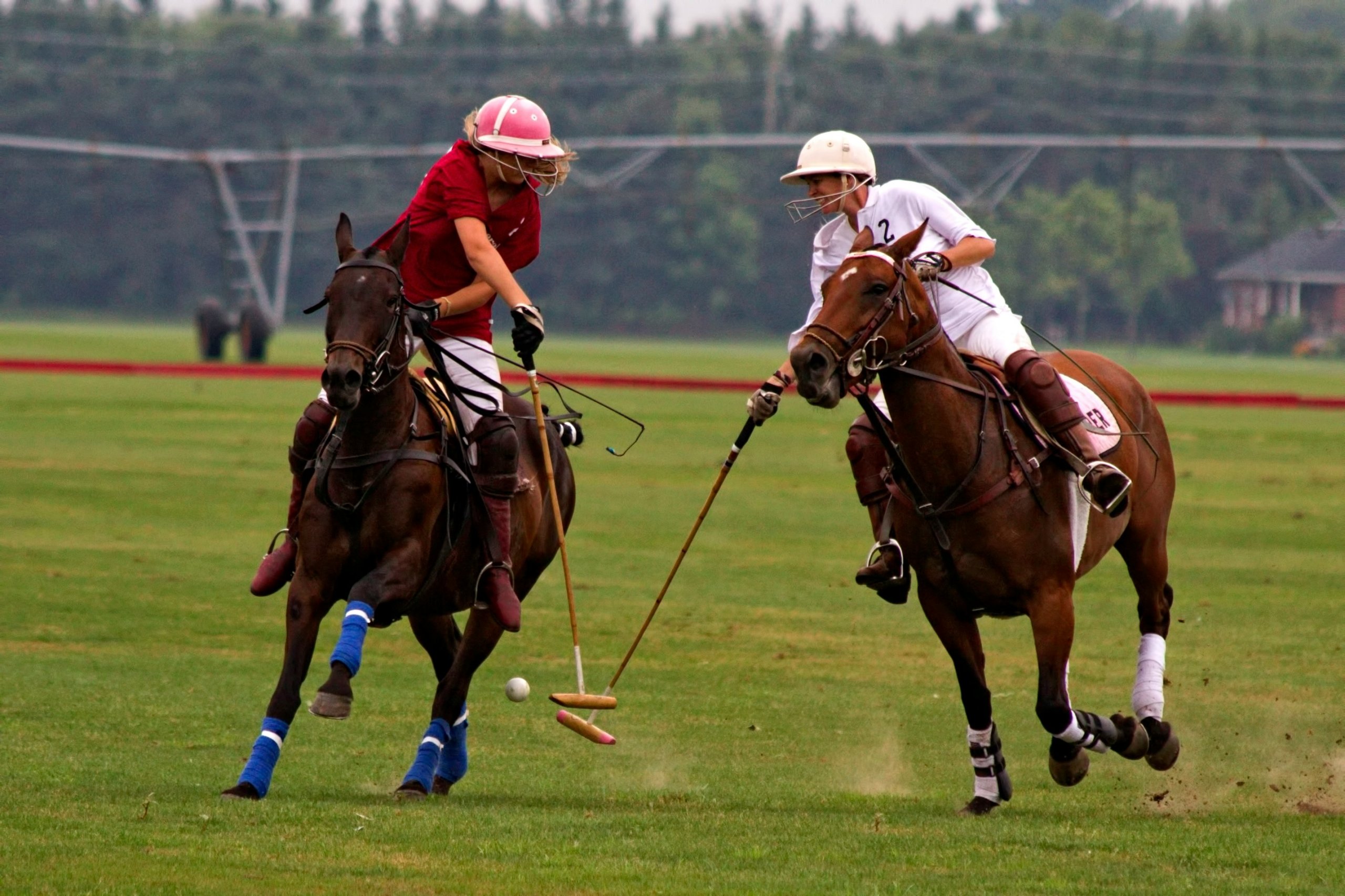 two players riding on horses competing in a polo game