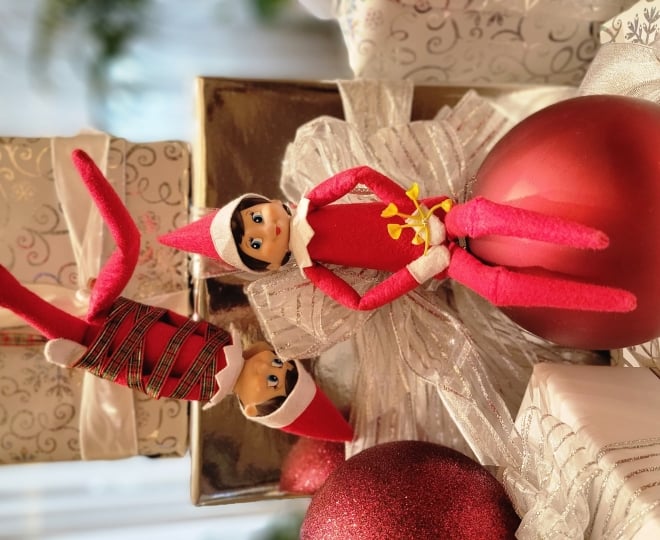 Carter the Cartel Elf and Bella the Yellowbell Elf at The Camby. White Christmas presents and red elves.